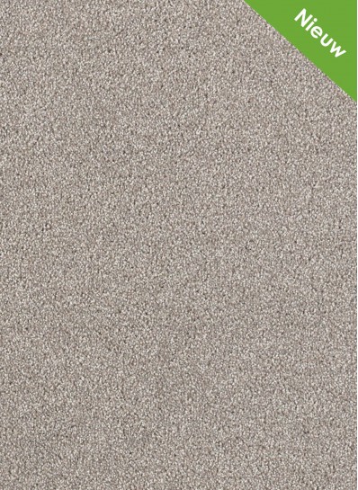 Xtreme SDN 193 Xtreme SDN 193